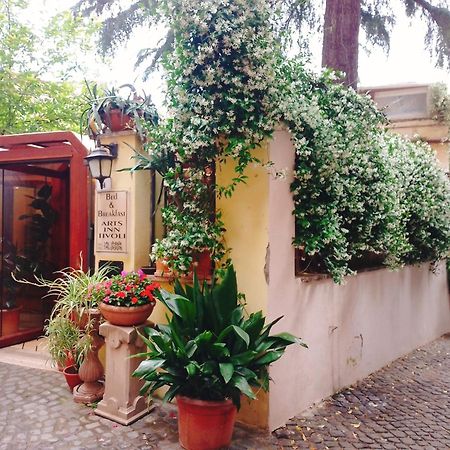 Bed and Breakfast Fermati Che E Tardi Тіволі Екстер'єр фото